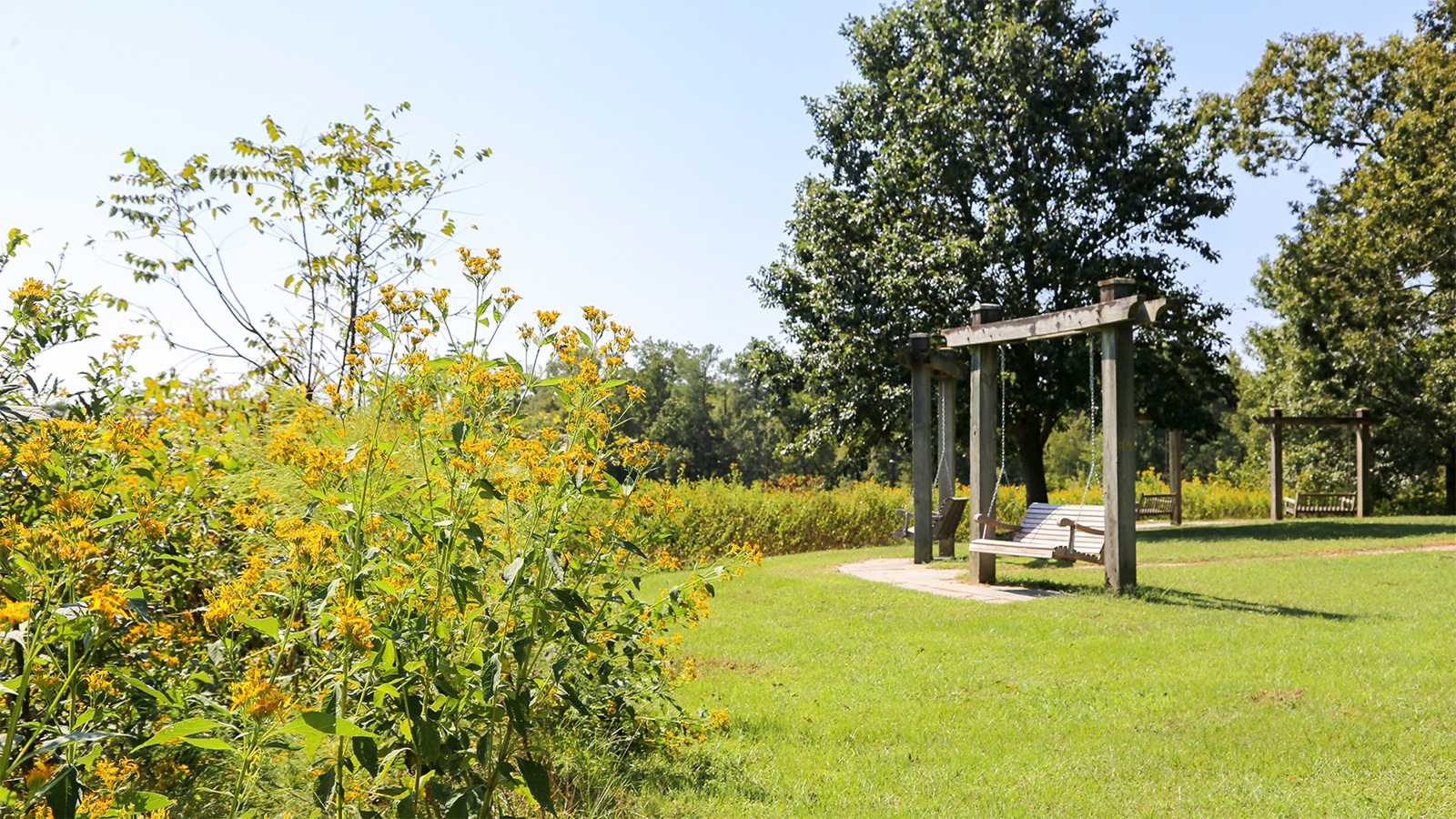 Wooden swing in Anderson Point Park