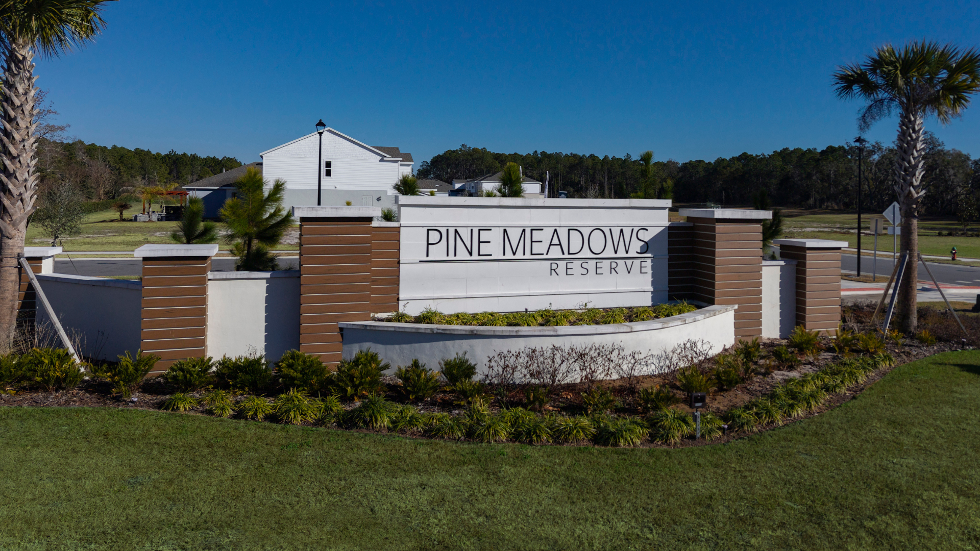 New construction townhome neighborhood in Eustis Florida with low-maintenance living