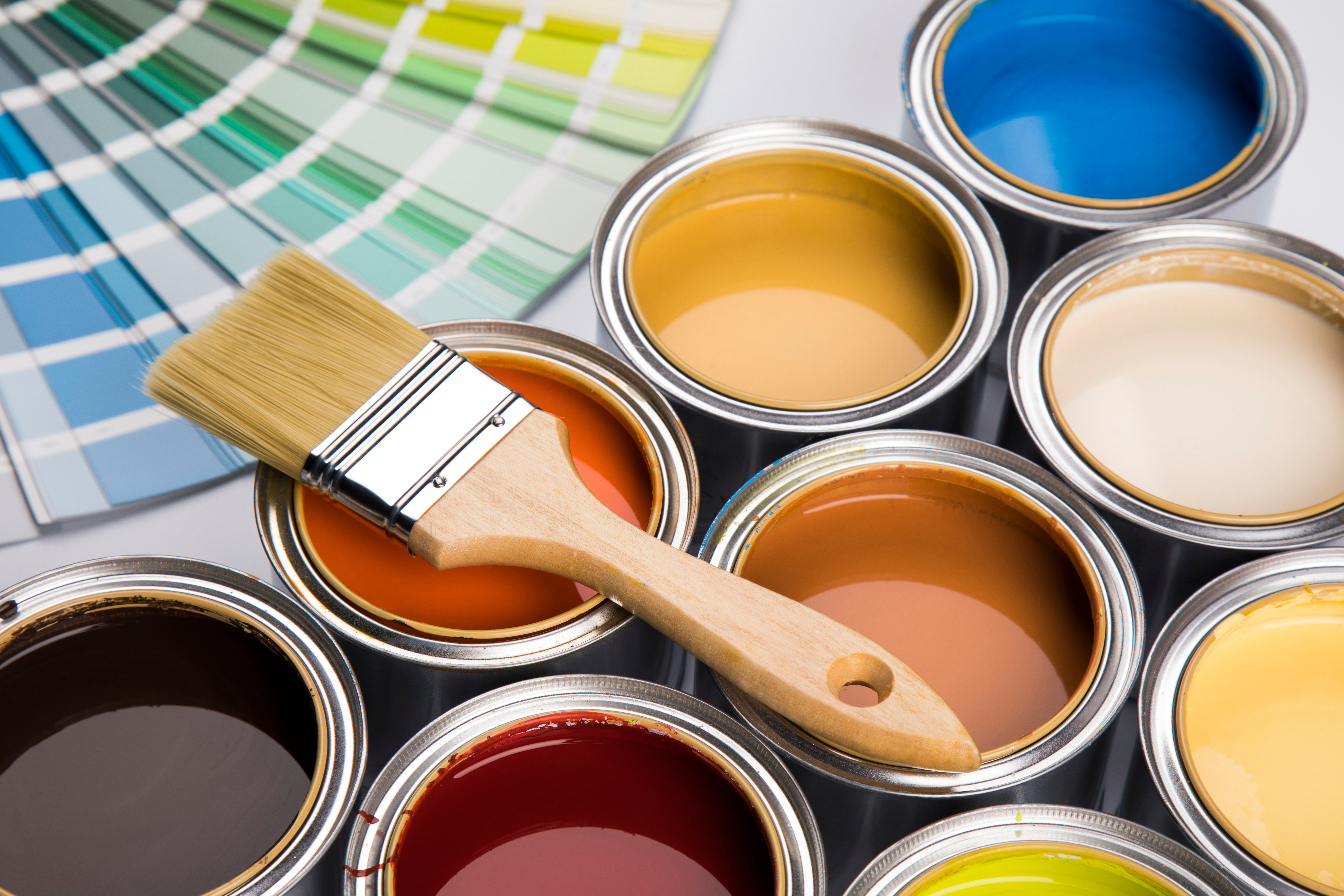 The Colors of The Year - 2024