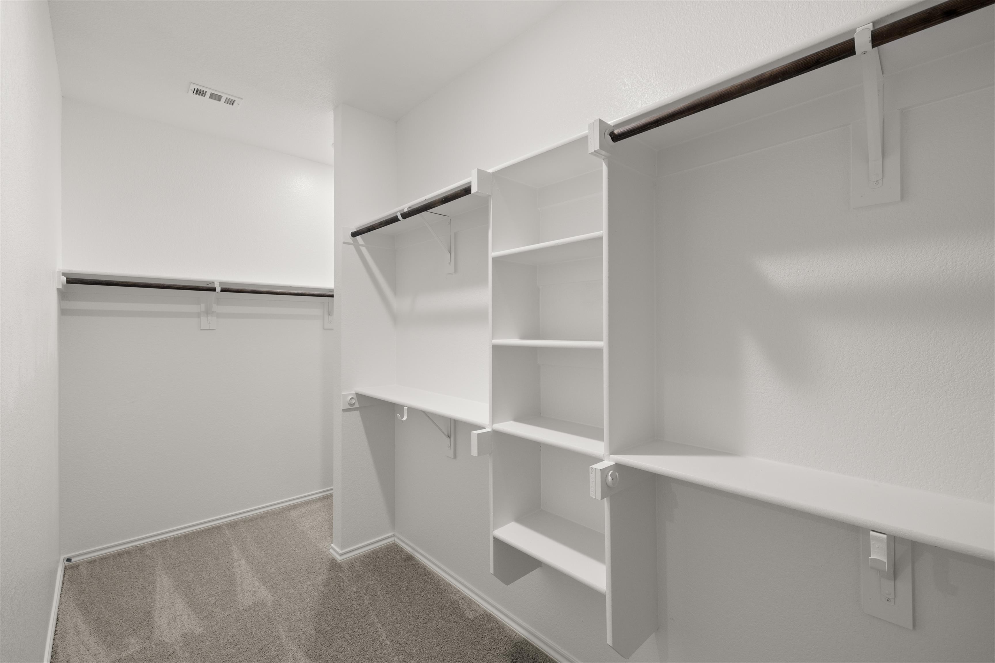 Orchid Representative Photography