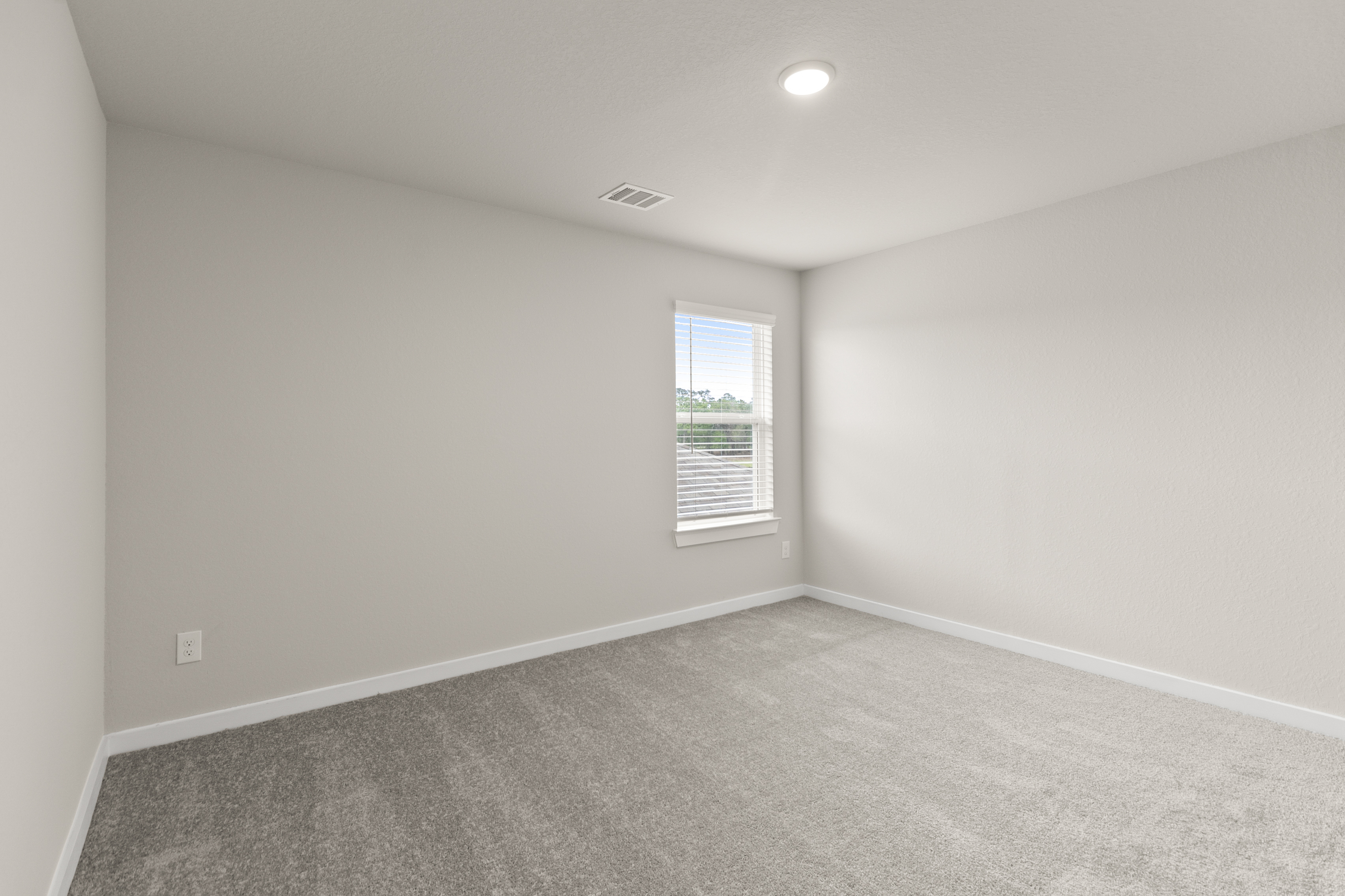 Tupelo II Representative Photography*