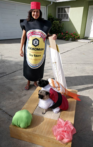 Pets Halloween Costumes