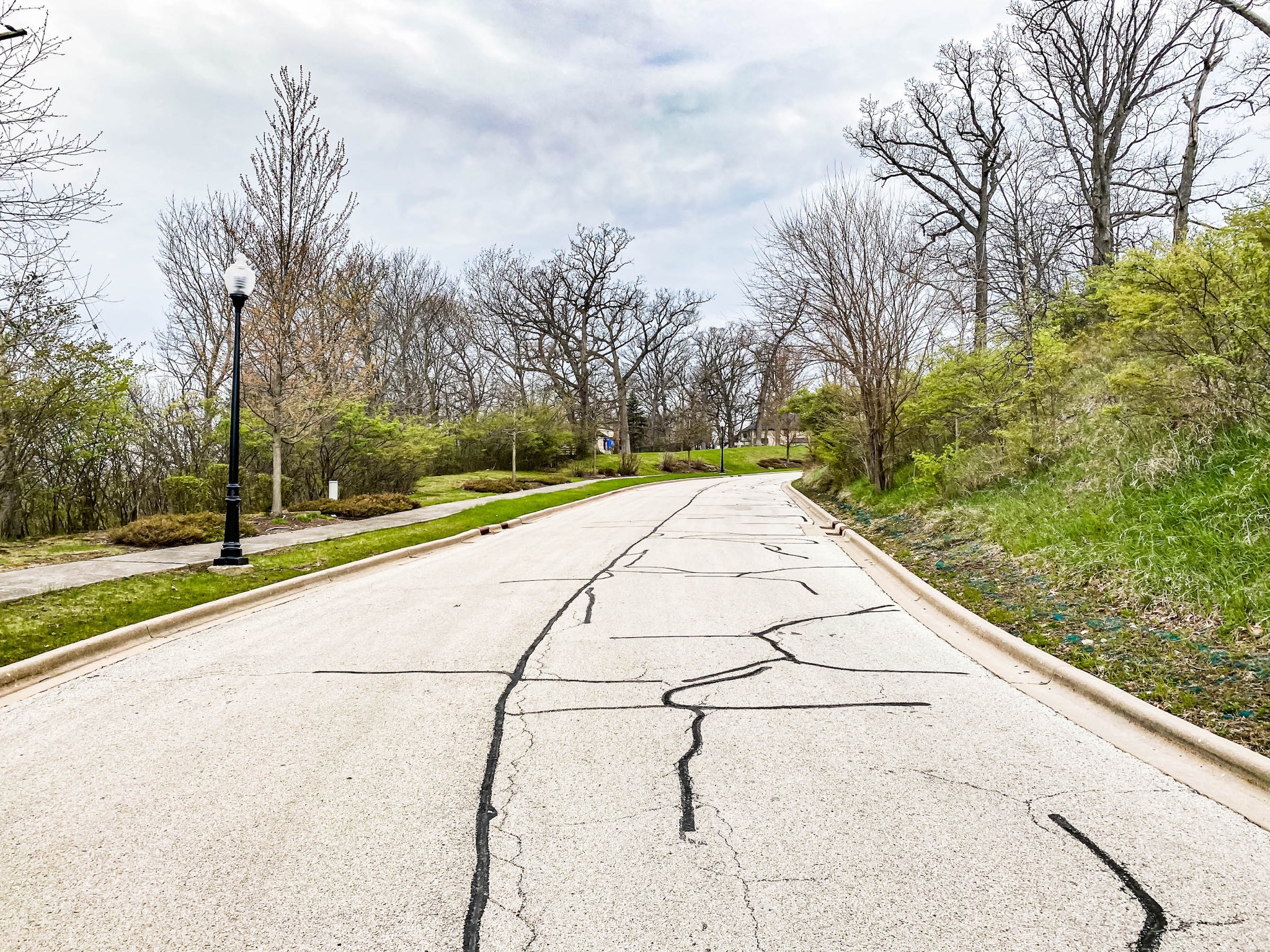 Oak Bluff Estates in Lemont DJK Custom Homes