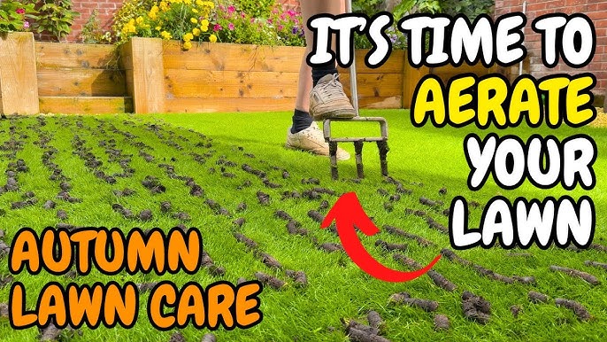 Fall Lawn Care – Time to Plan!