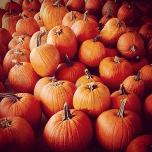 The Latest News | Harris Doyle Homes