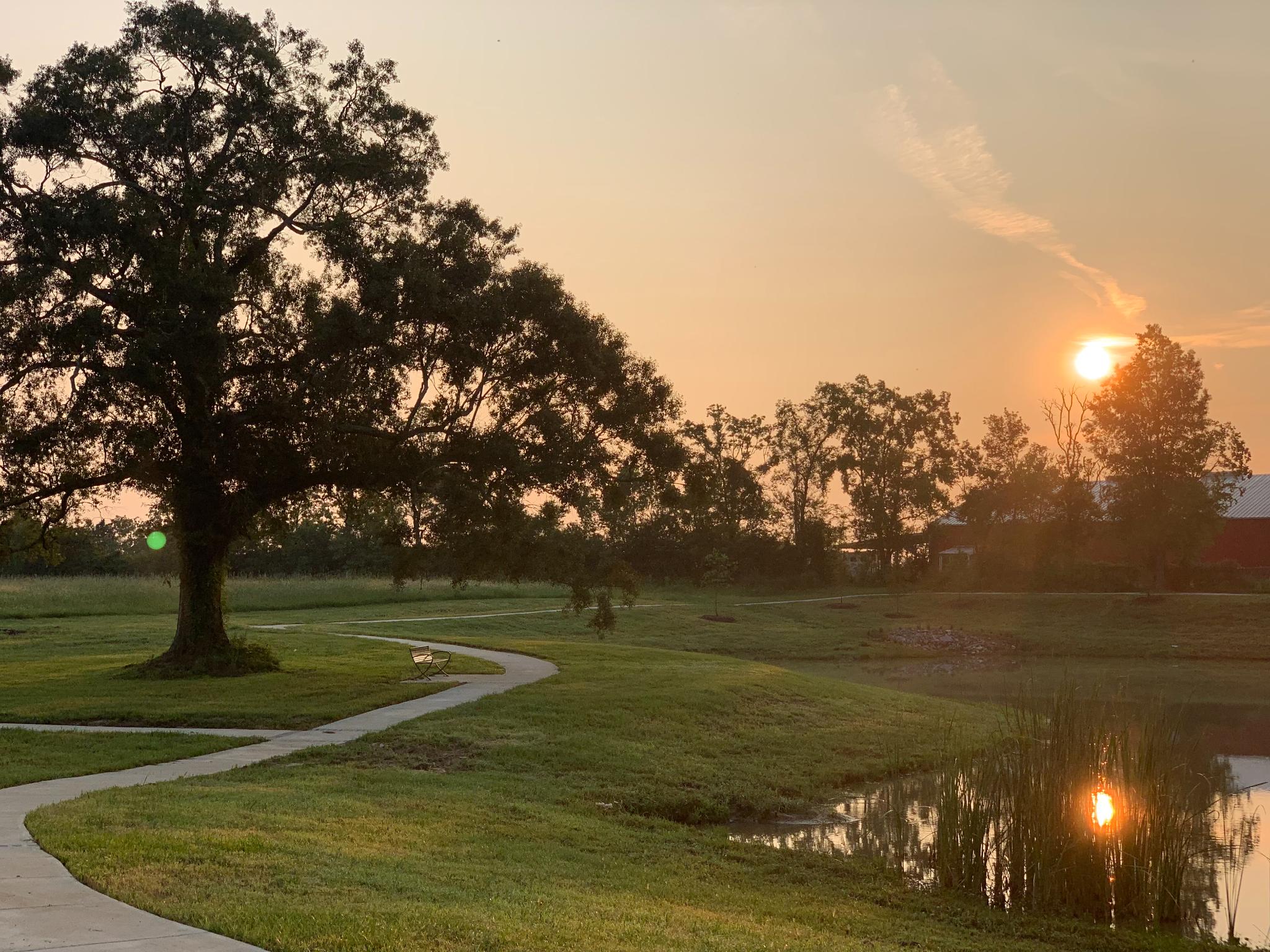 Oak Colony New Homes for Sale in Baton Rouge LA