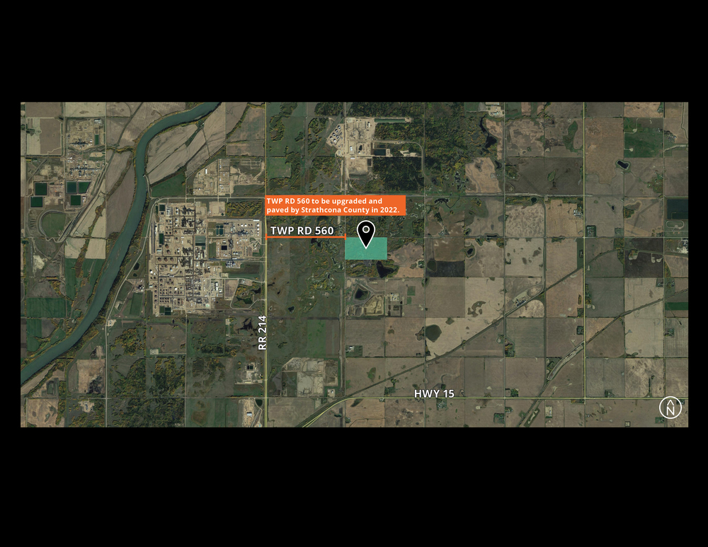 Reed Newnham Professionals Avison Young Global