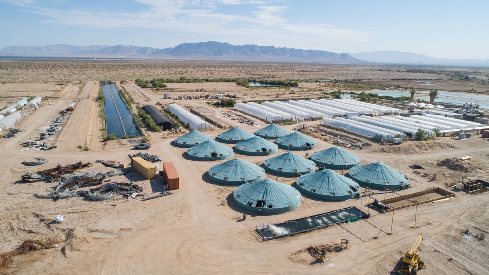 Global Organic Farm, Inc.