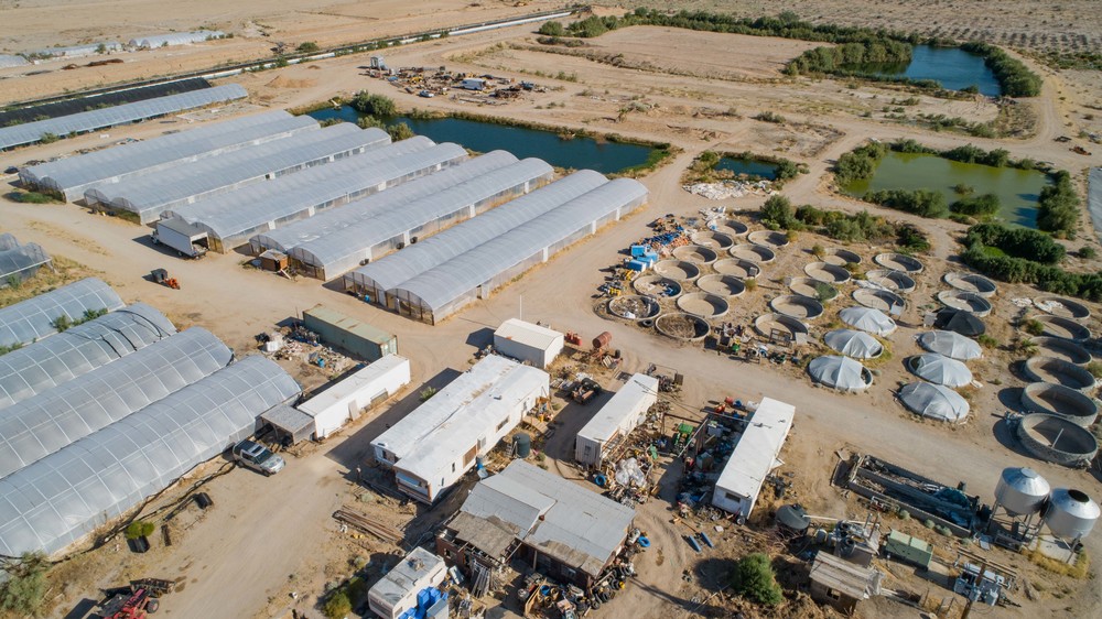 Global Organic Farm, Inc.  4