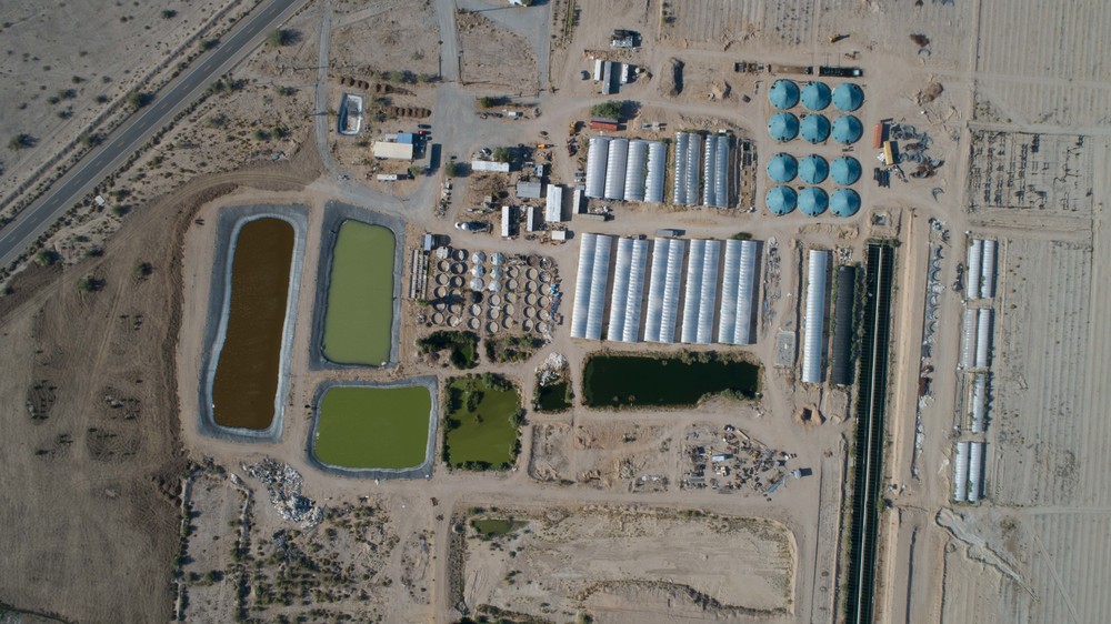 Global Organic Farm, Inc.  5