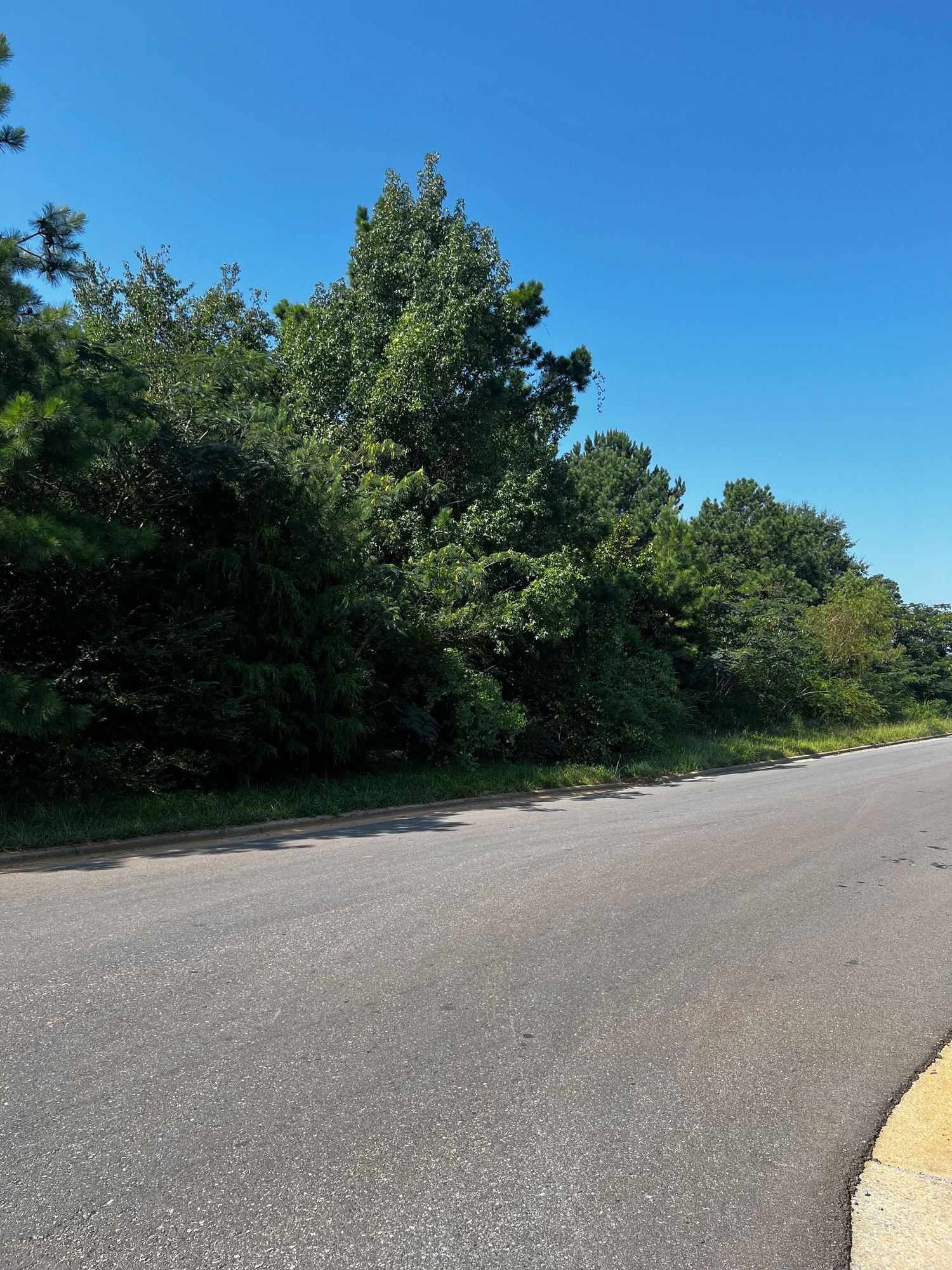 40 Acres of land for development 4