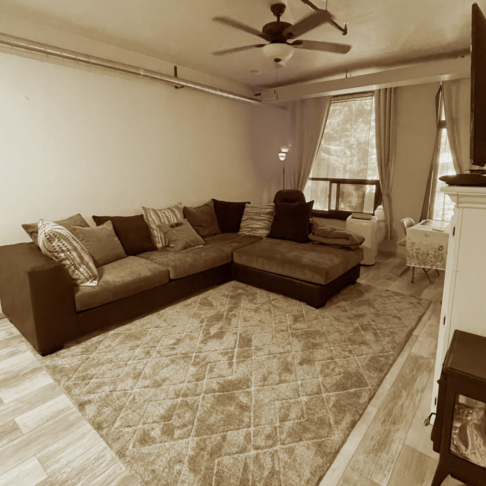 Photo 8