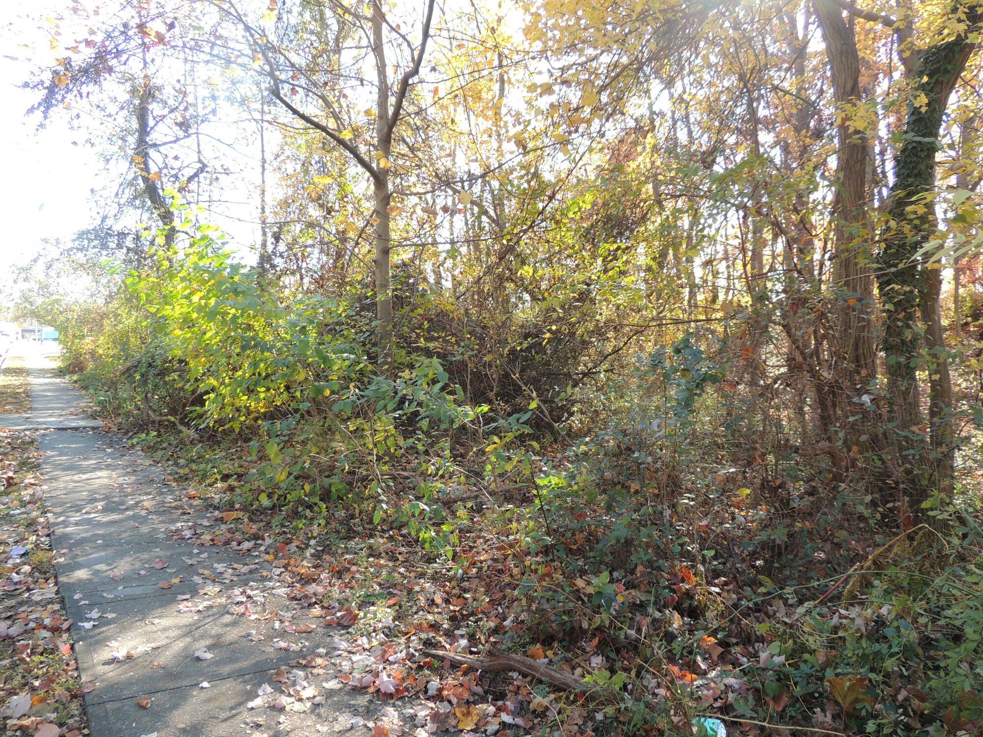 BEL AIR RD PARCEL 3