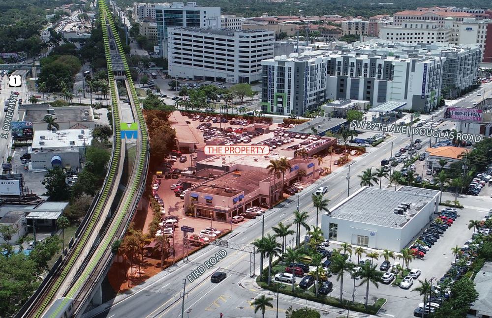 Michael T Fay Professionals Avison Young Miami