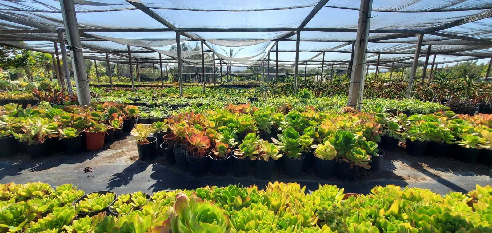22.8 Acres of land with 3 Single Family Residences and a pool