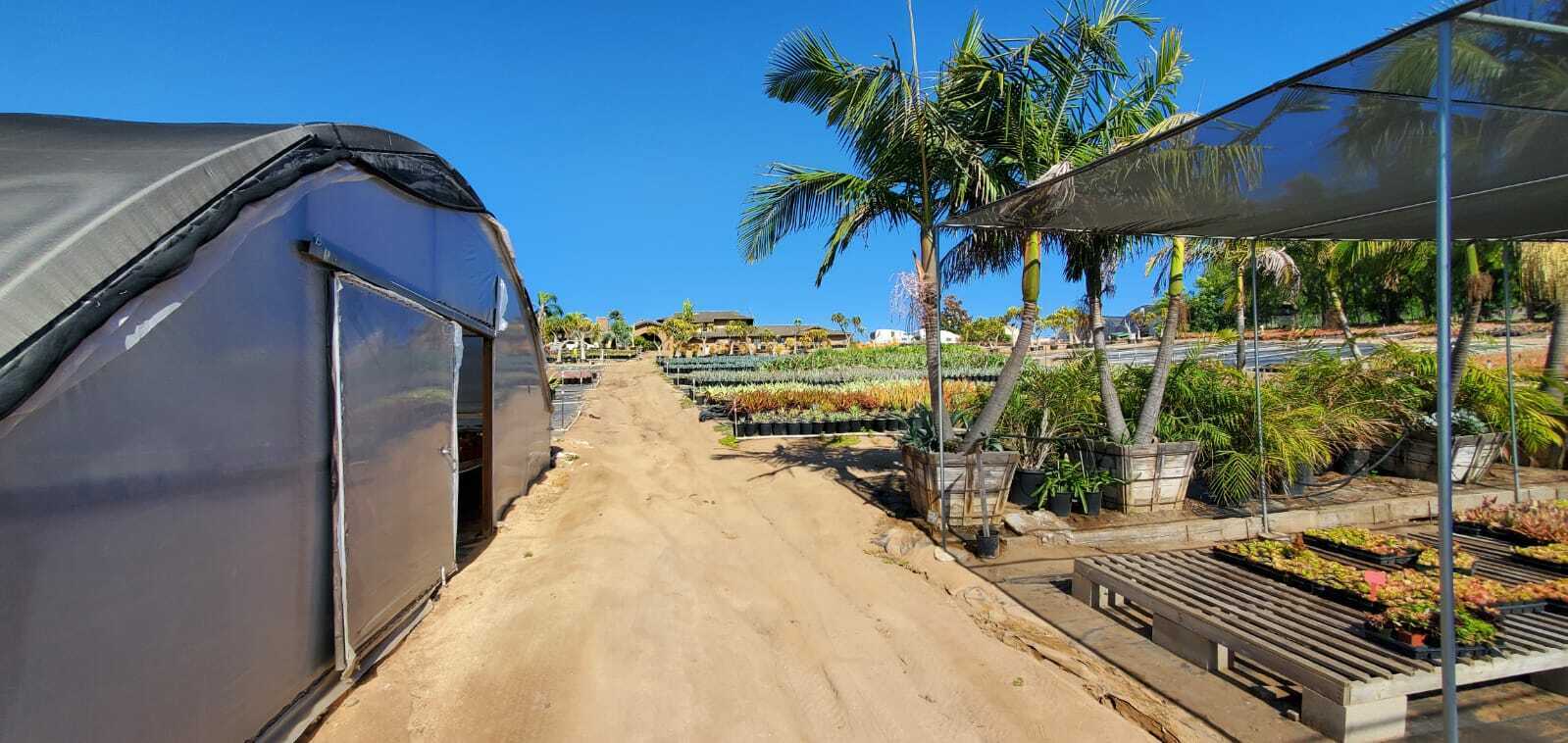 22.8 Acres of land with 3 Single Family Residences and a pool 4