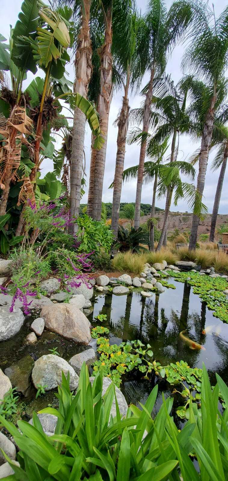 22.8 Acres of land with 3 Single Family Residences and a pool 3