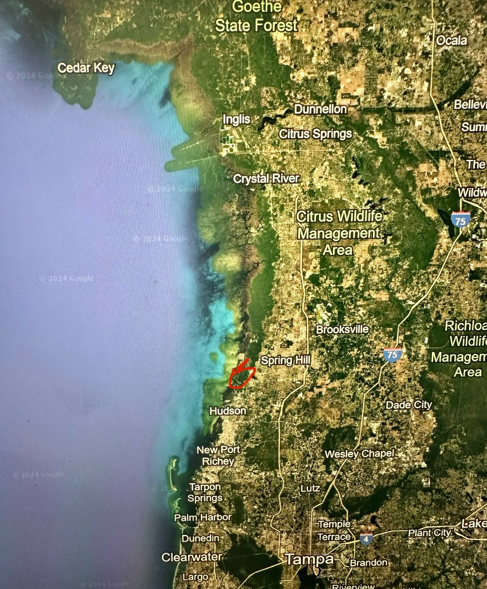 7621 Saint Johns Drive - photo 7 of 7