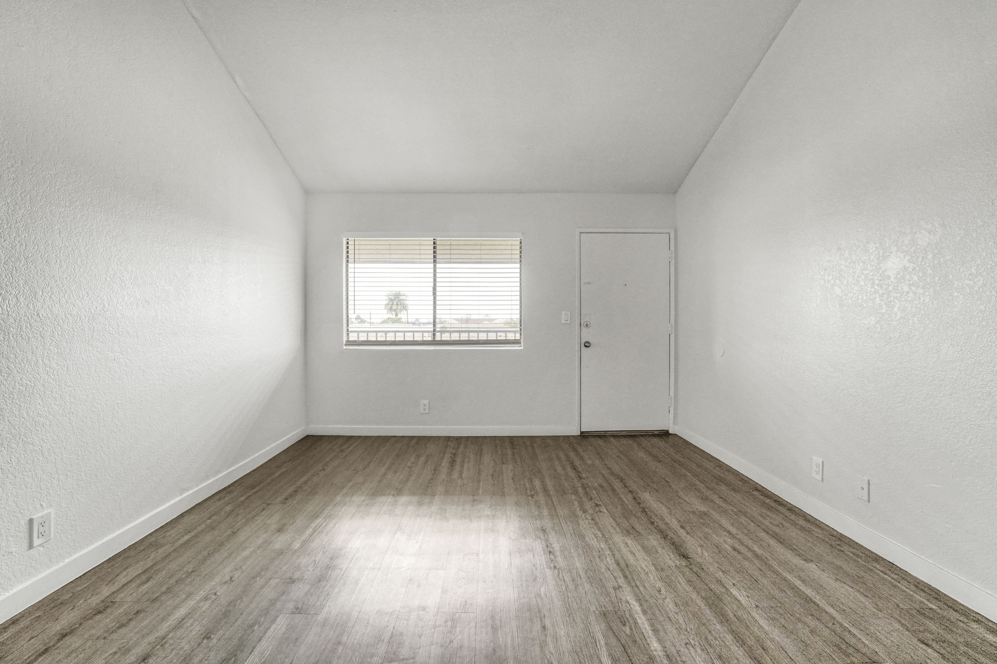 751 Cerritos Ave thumbnail 4