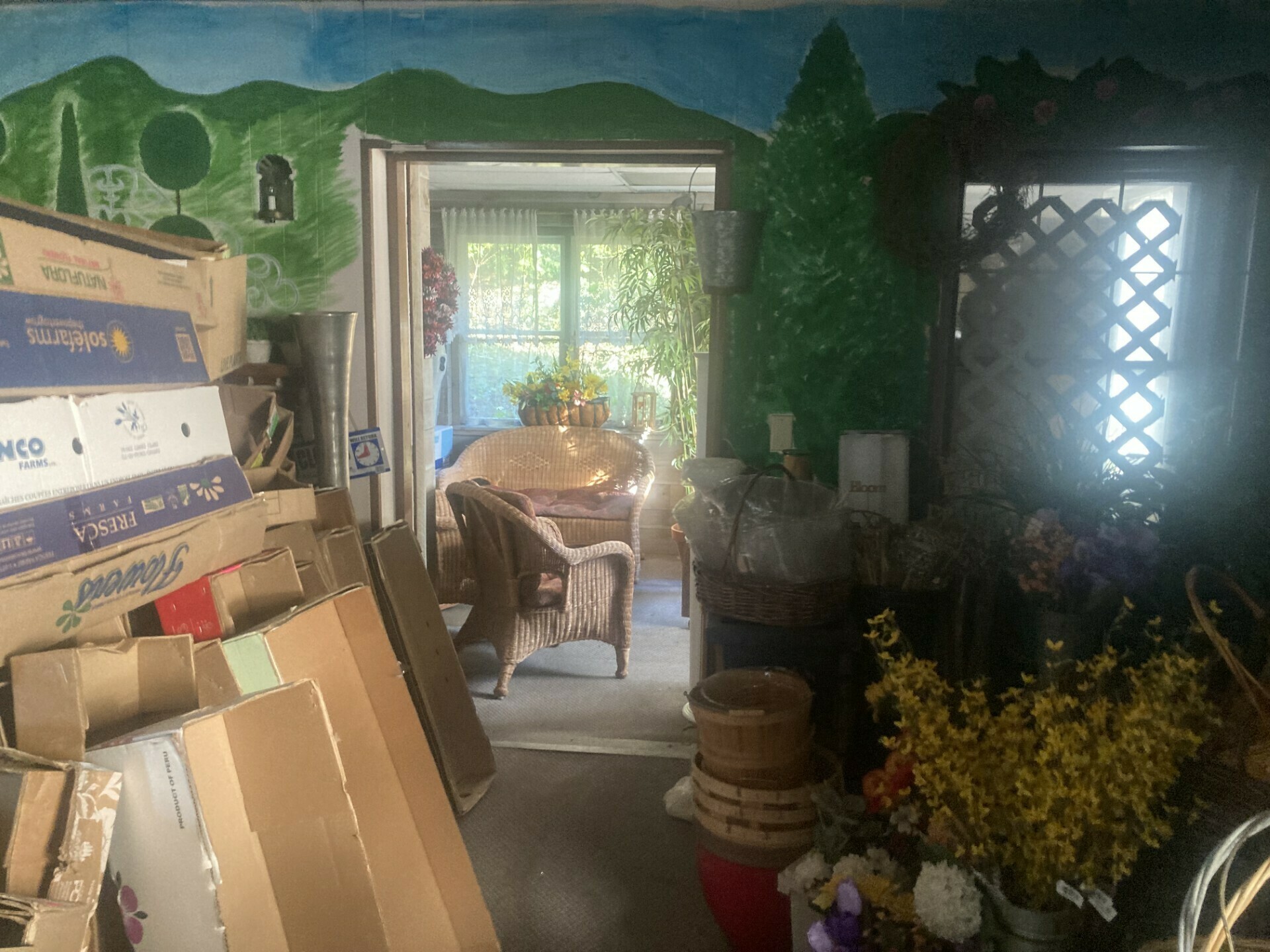 Photo 6