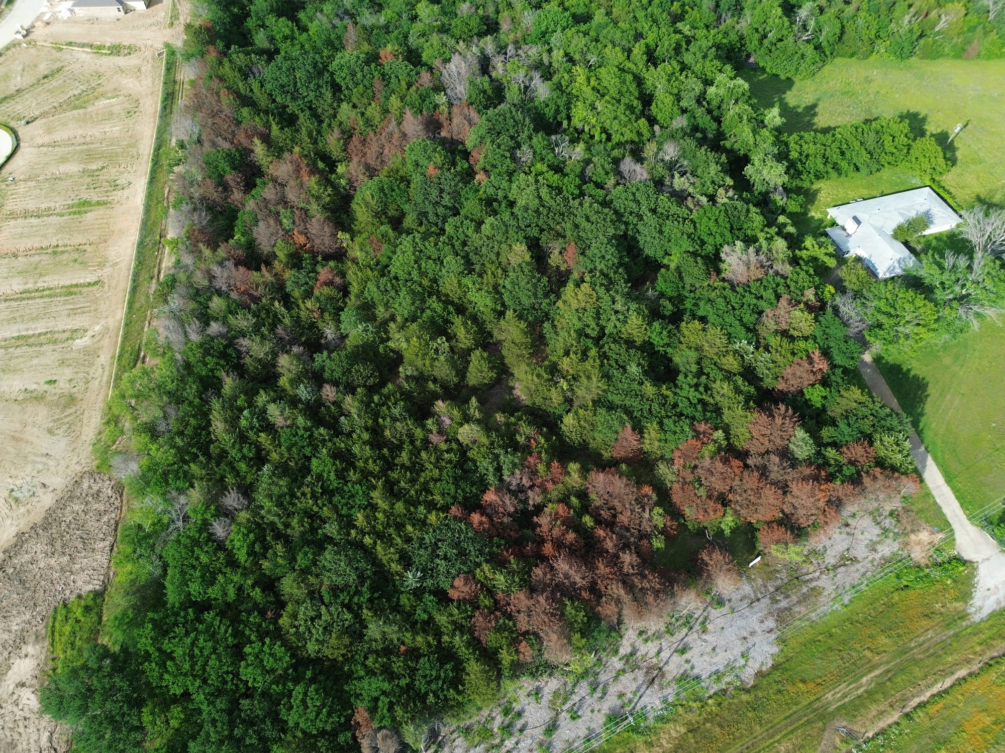 Land in Terrell 4