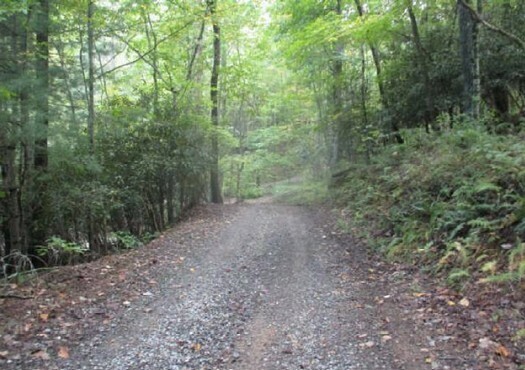 5 acres Unzoned Land in Turtletown TN 3