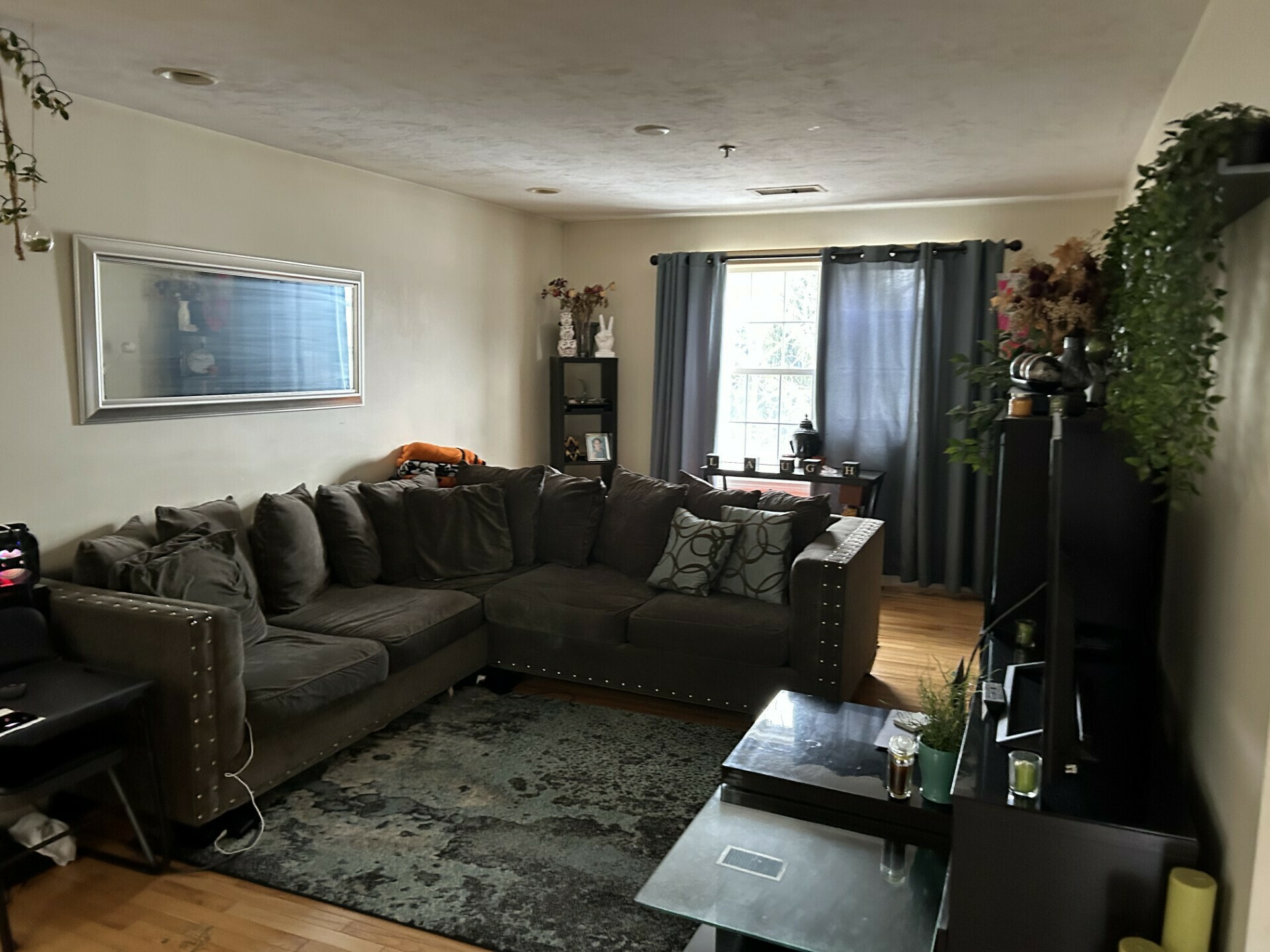 Photo 31
