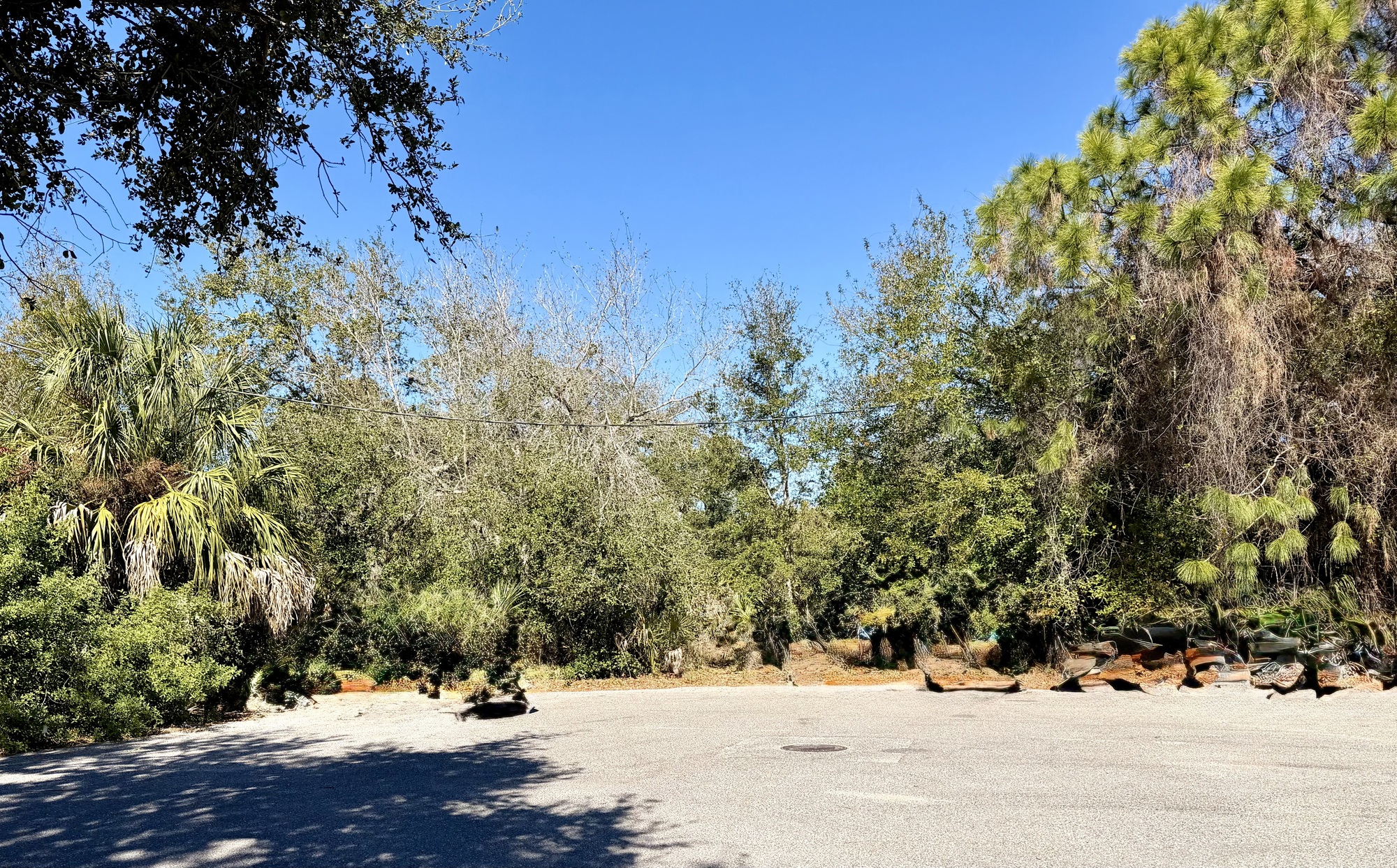 905 Royal Palm Drive - photo 4 of 4