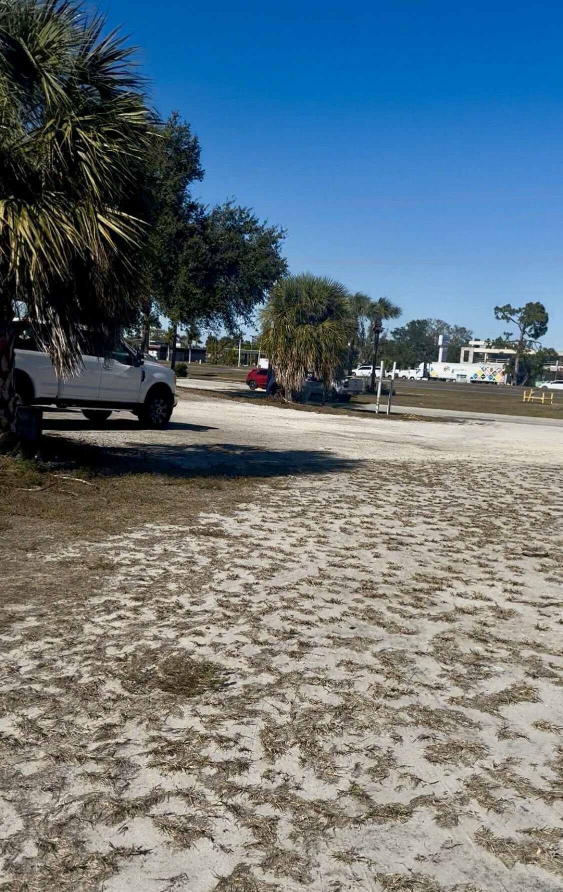 3601 Tamiami Trail - photo 7 of 15