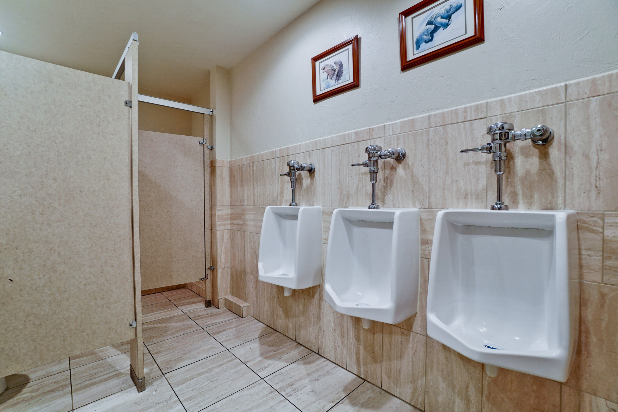 4880 Fruitville Rd - photo 23 of 76