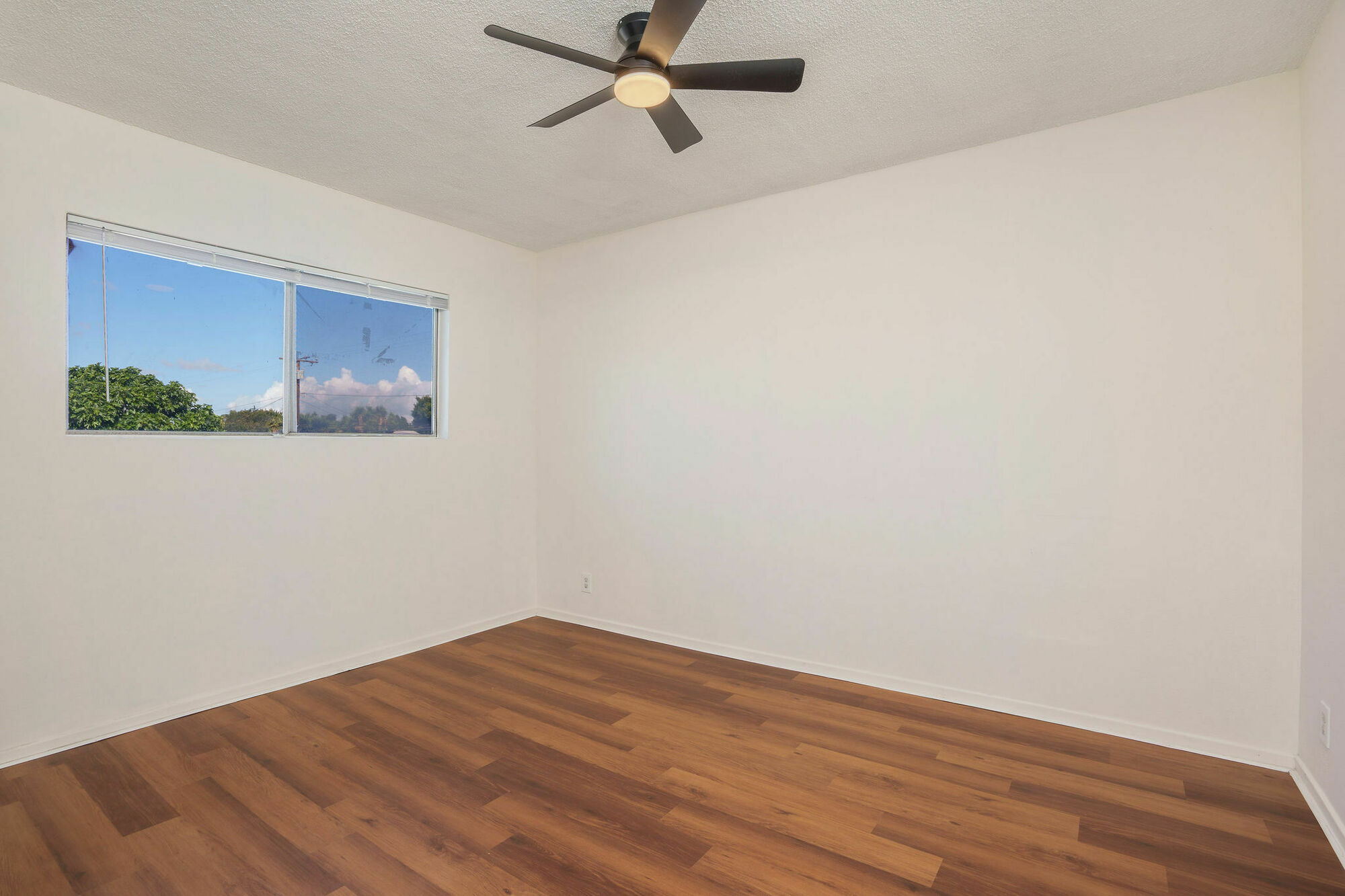 533 E Hyde Park Pl thumbnail 22
