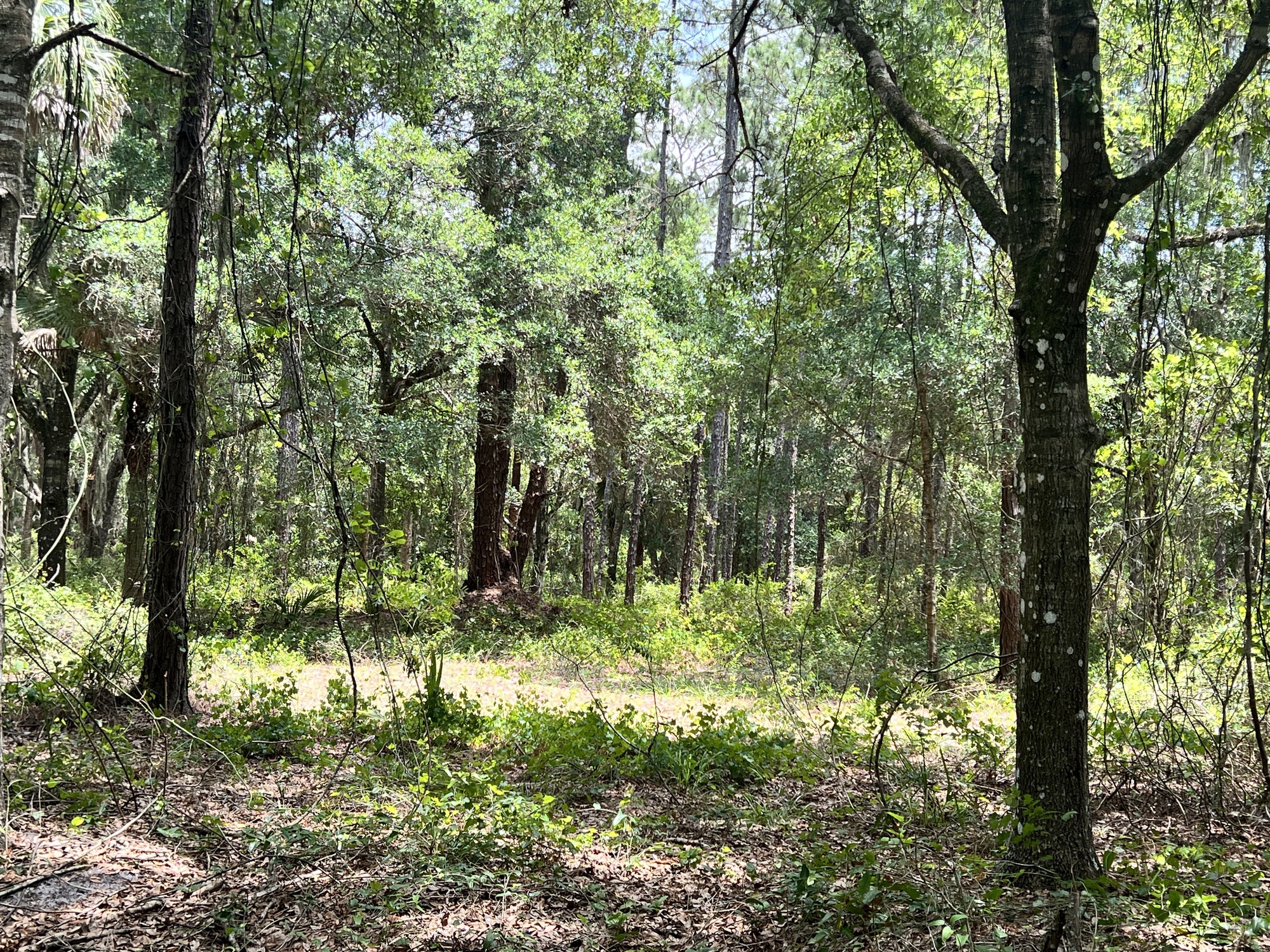 Rare M-2 Industrial Land Opportunity in Florida’s Expanding Space Coast