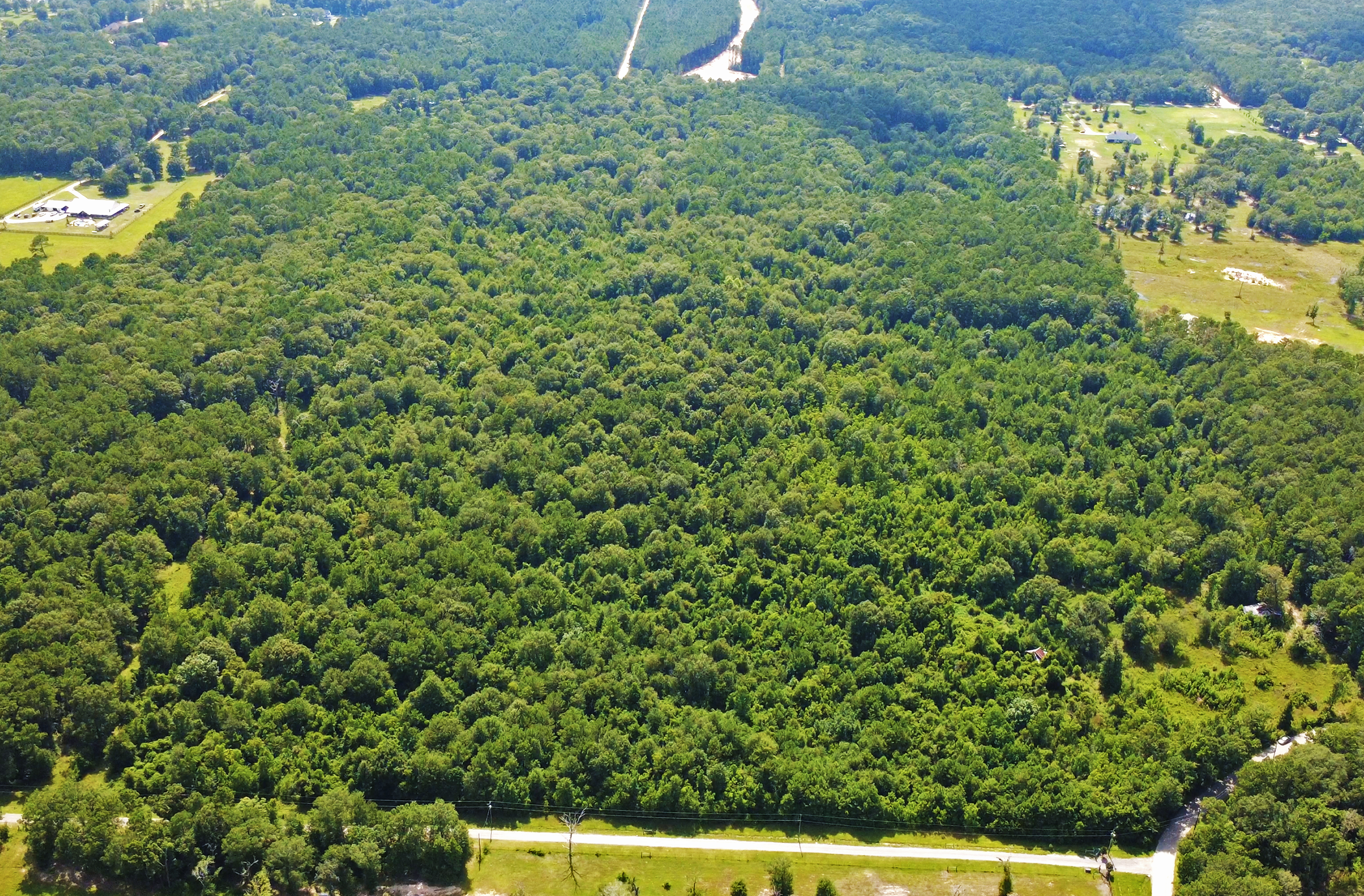 57.342 AC Unrestricted Development Land | Daw Collins Rd | Dual Road Access 3
