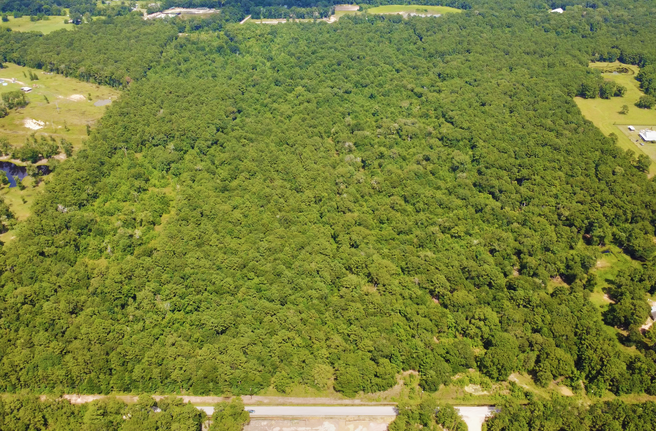 57.342 AC Unrestricted Development Land | Daw Collins Rd | Dual Road Access 4