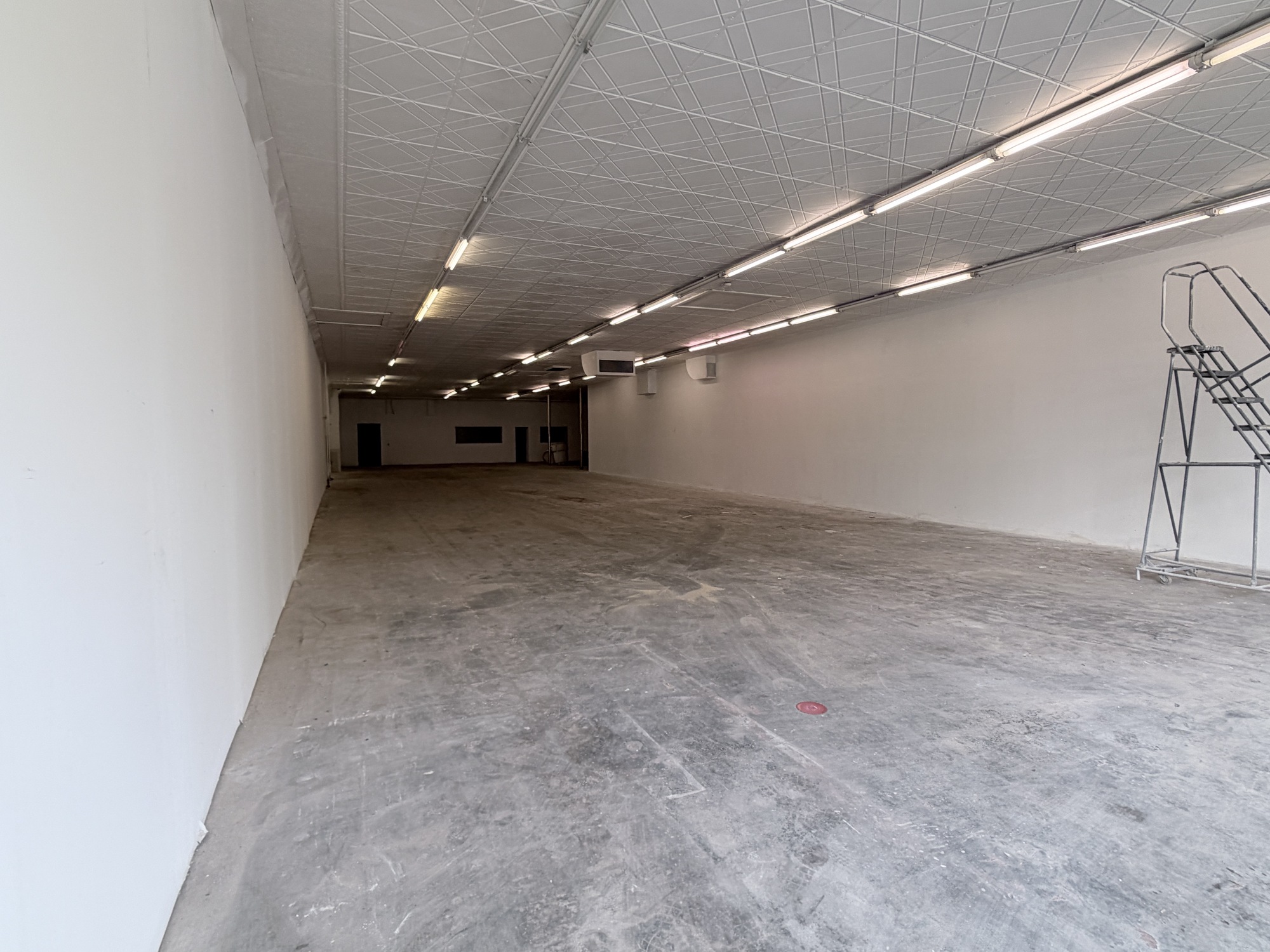 786 Eastern Pkwy 4