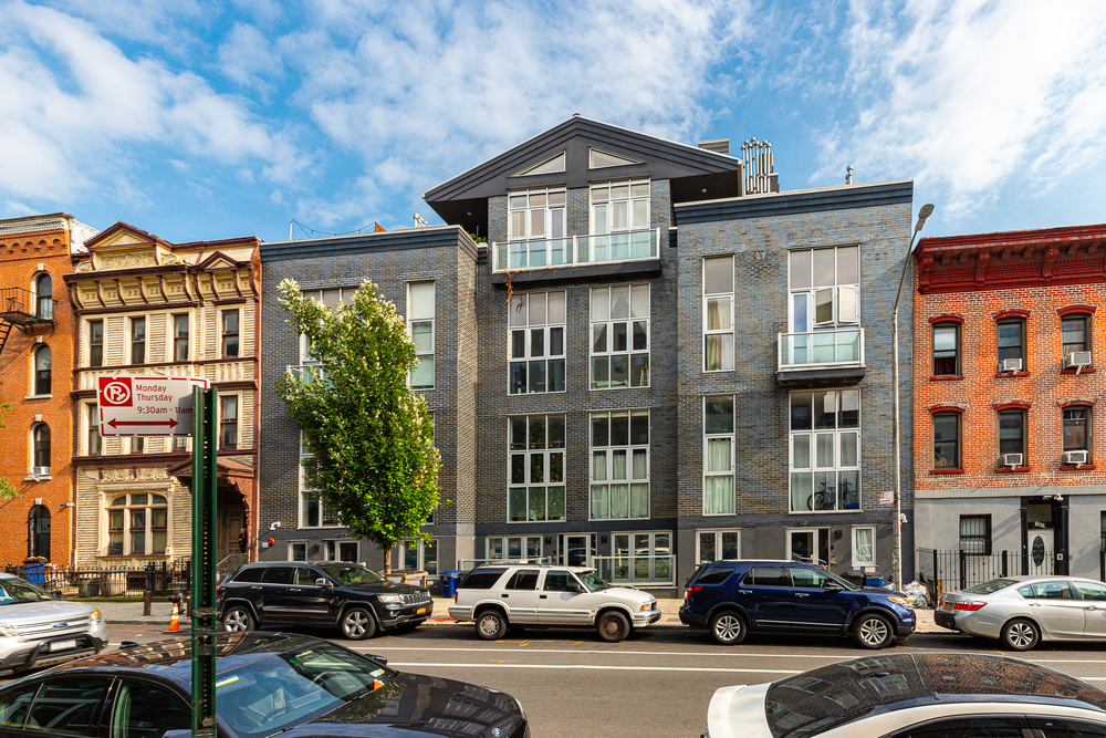 James Nelson Professionals Avison Young Global