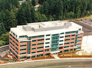 thumb.jpg?1591743981