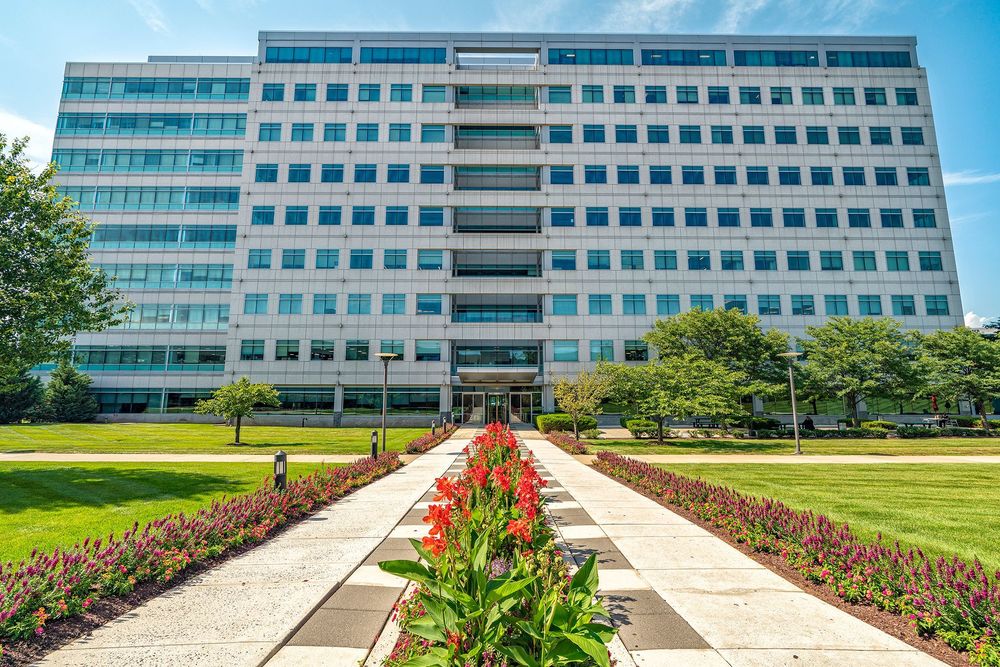 Commercial Real Estate New Jersey Avison Young US