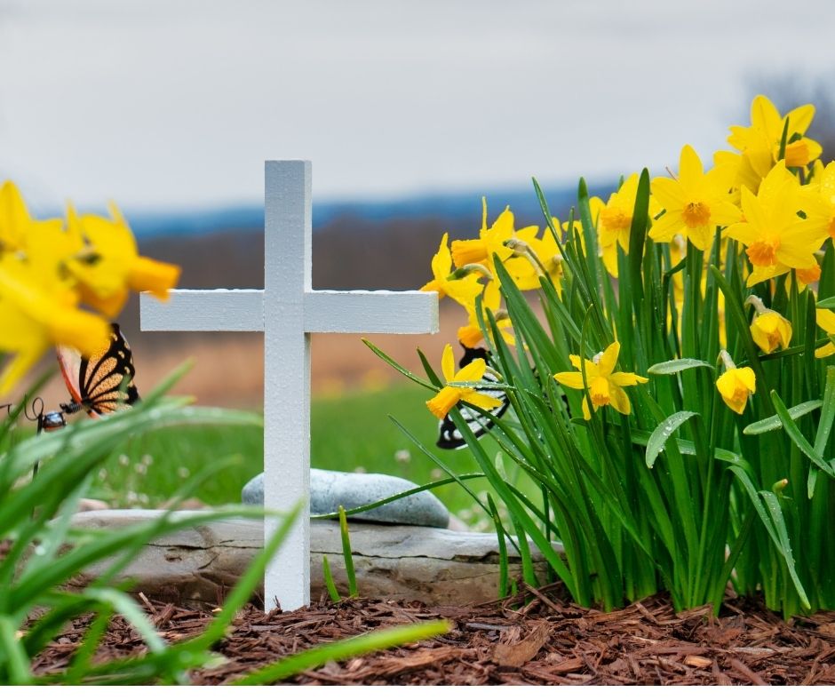 monumental burial insurance