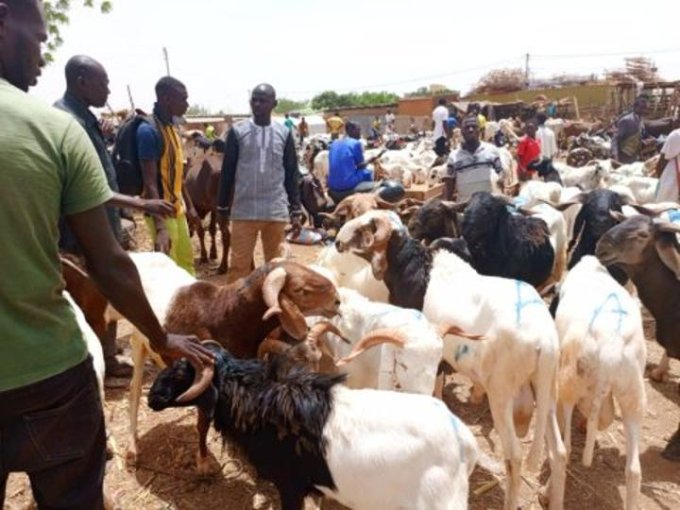 TABASKI 2025 AU BURKINA Quand le contexte oblige à la sobriété