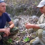 An Intro To Medicinal Weeds