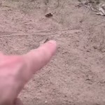 Rich Demonstrates The Use of Track Traps