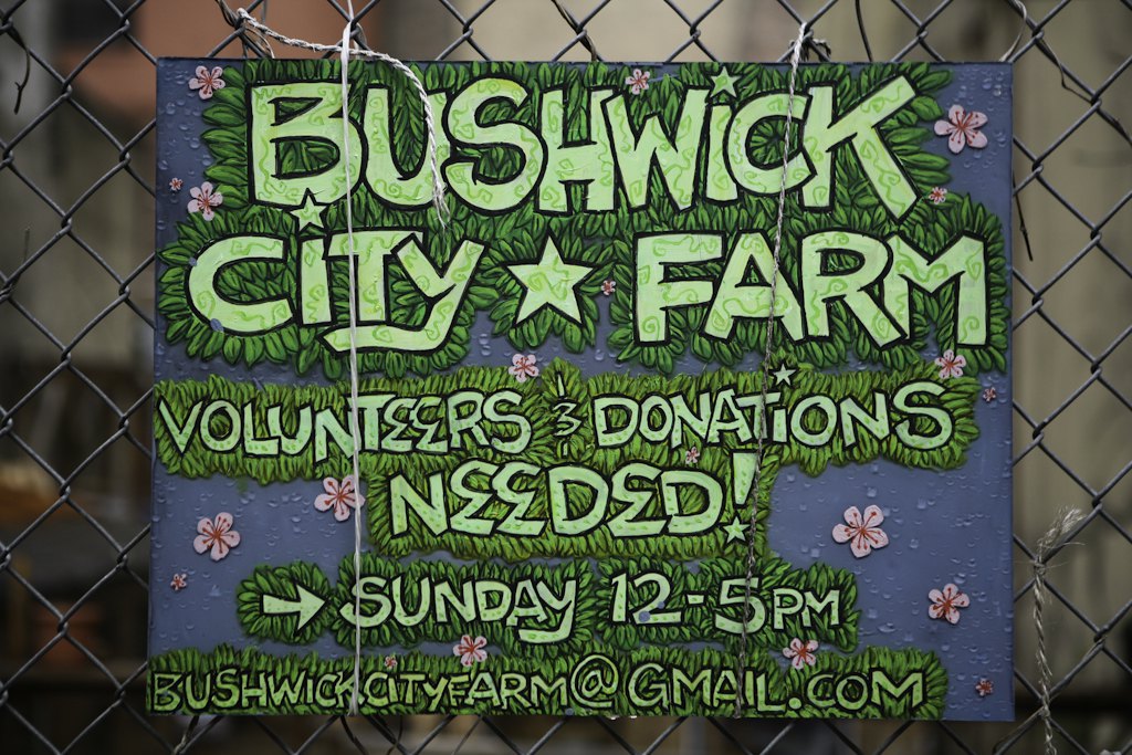 A day at Bushwick City Farm's new location