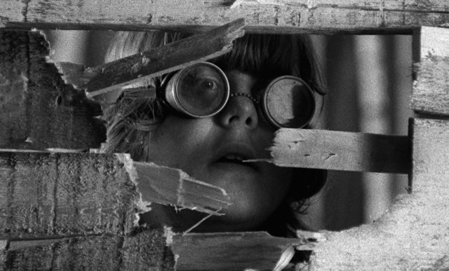 5 Must-See Films at the Northside Film Festival