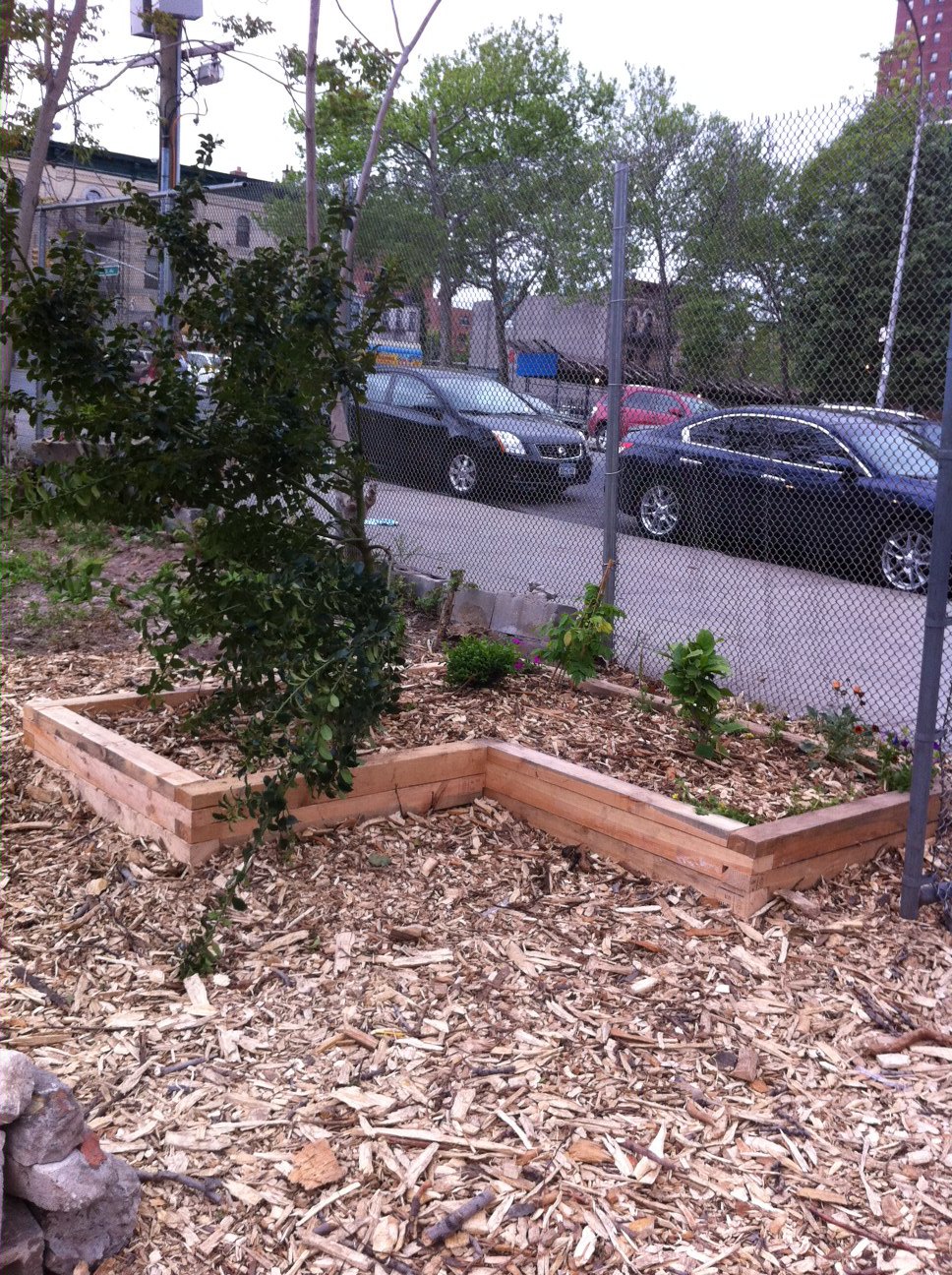 A day at Bushwick City Farm's new location