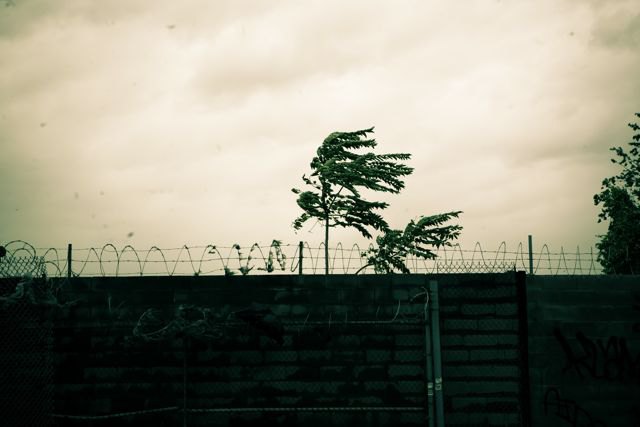 Irene Aftermath = Cloudy Day In Bushwick [Photos]