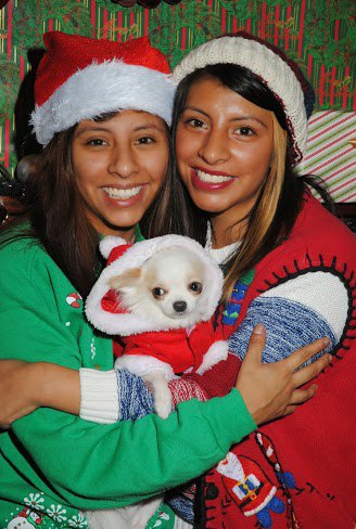 Bushwick Bark's Awkward Family Pet Photos! Happy Holidays!