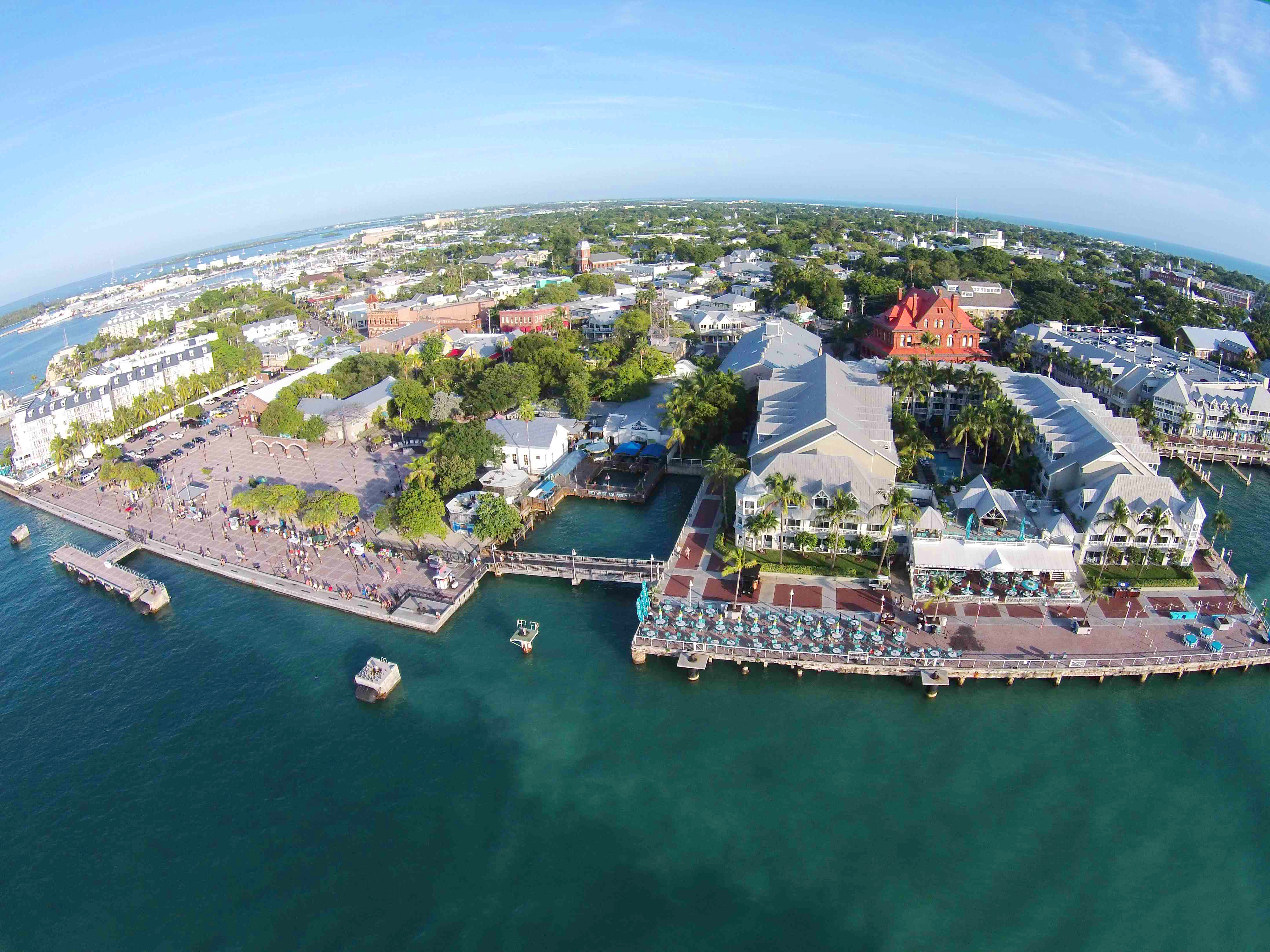 Tourism Business With ZERO Competition In South Florida