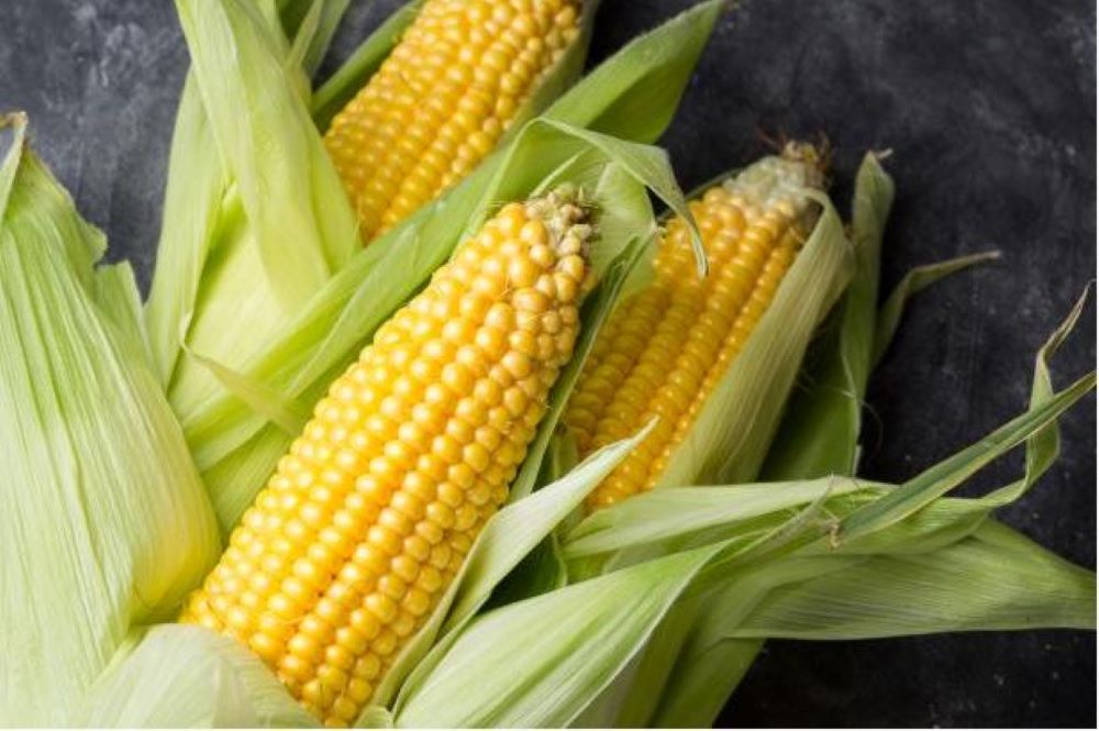 Grain Elevator Business Operation / Real Estate - 1.4M Grain Capacity