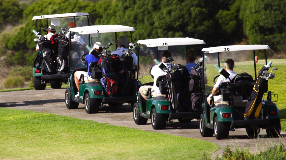 Golf Cart Sales & Rental Business